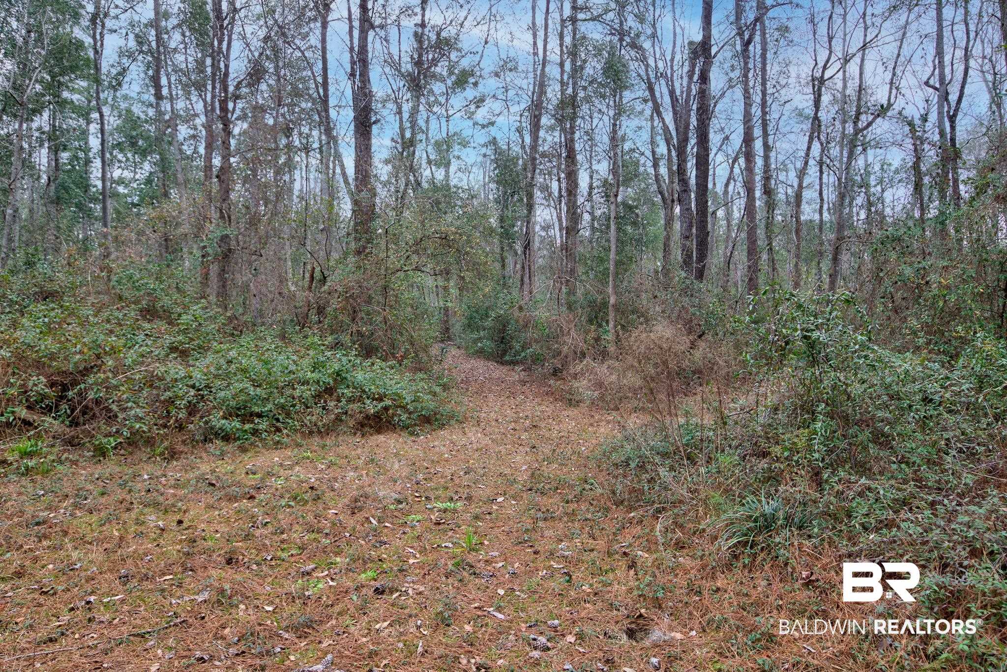 10561 McKenzie Road Fairhope, AL 36532 - Photo 13 of 48