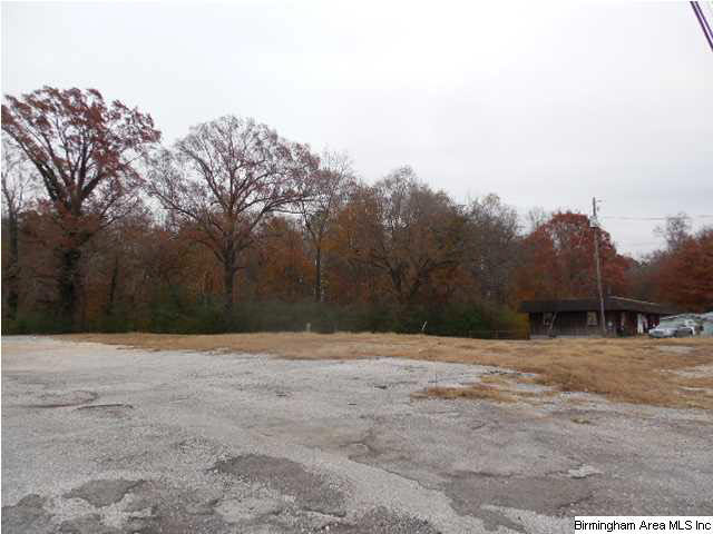 911 Hull Road Sumiton, AL 35148 - Photo 2 of 4