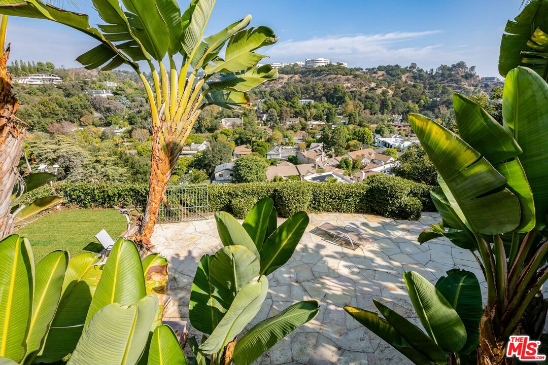 936 Kenfield Avenue Los Angeles, CA 90049 - Photo 25 of 30 a view of a flower in a garden