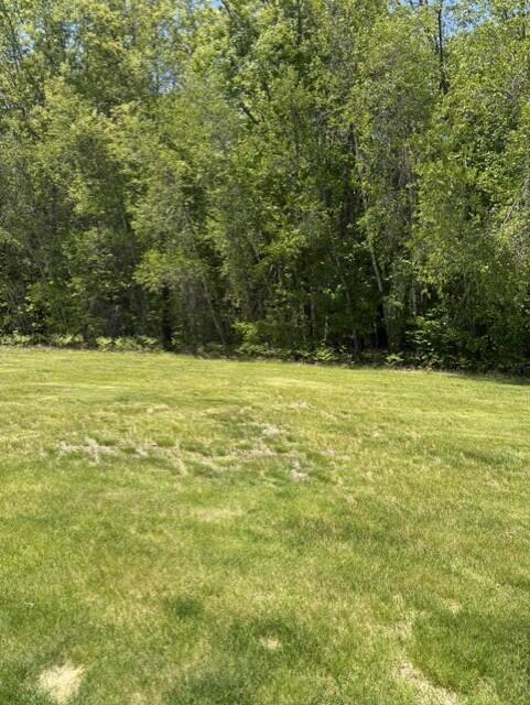 8 Windsor Drive Alfred, ME 04002 - Photo 23 of 23 backyward