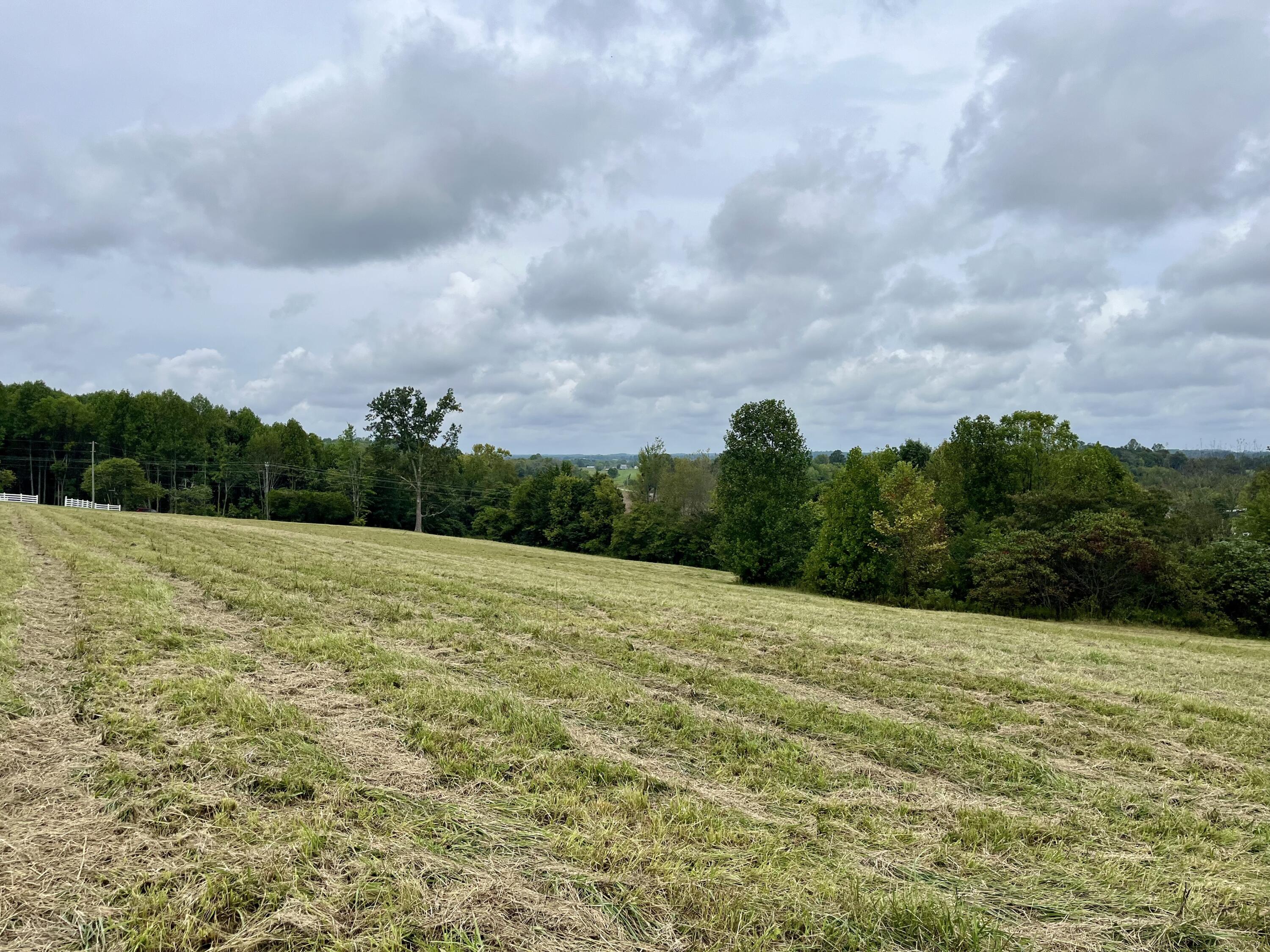 Lot 5 Smith Ridge Road Eubank, KY 42567 - Photo 21 of 24 IMG_4434 2