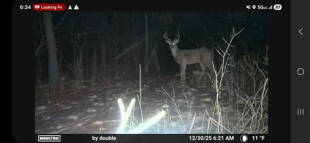 $575,000 | Lt0 Gilbert Street, Sugar Creek, WI 53121