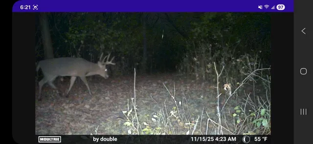 $575,000 | Lt0 Gilbert Street, Sugar Creek, WI 53121