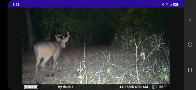 $575,000 | Lt0 Gilbert Street, Sugar Creek, WI 53121