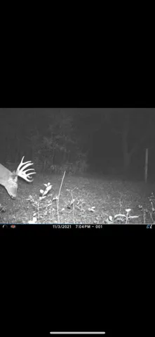 $575,000 | Lt0 Gilbert Street, Sugar Creek, WI 53121