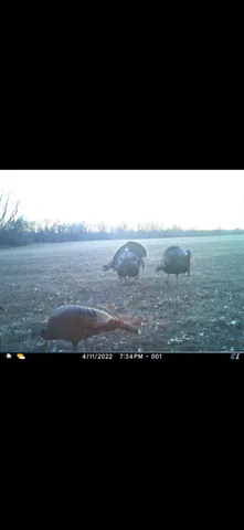 $575,000 | Lt0 Gilbert Street, Sugar Creek, WI 53121