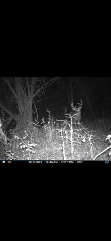 $575,000 | Lt0 Gilbert Street, Sugar Creek, WI 53121