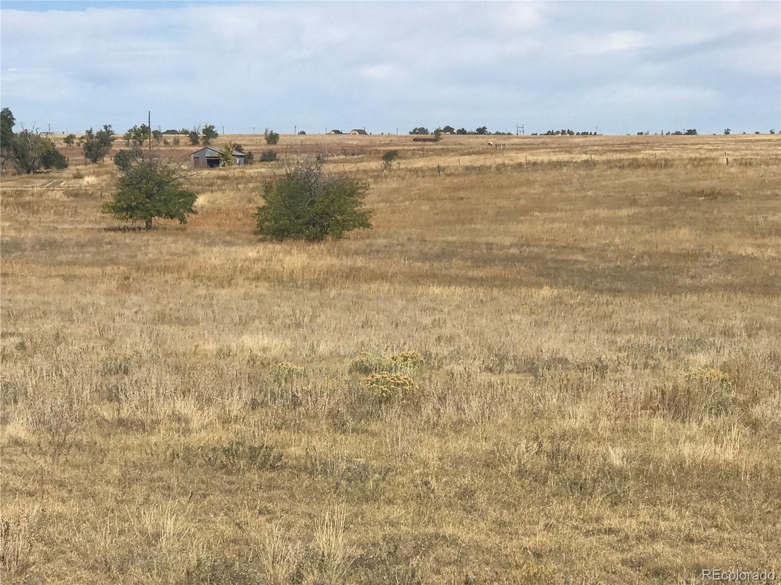 Rapp Road Rush, CO 80833 - Photo 11 of 40 Gallery Image 11