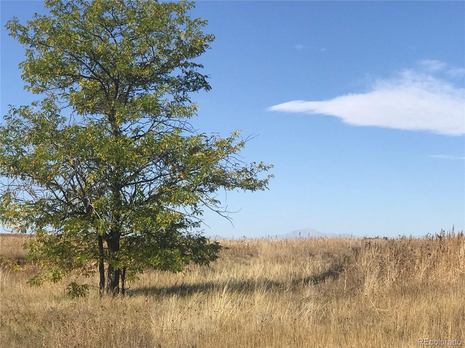 Rapp Road Rush, CO 80833 - Photo 2 of 40 Gallery Image 2