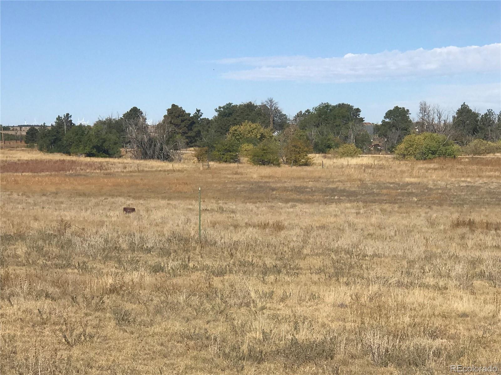 Rapp Road Rush, CO 80833 - Photo 3 of 40 Gallery Image 3