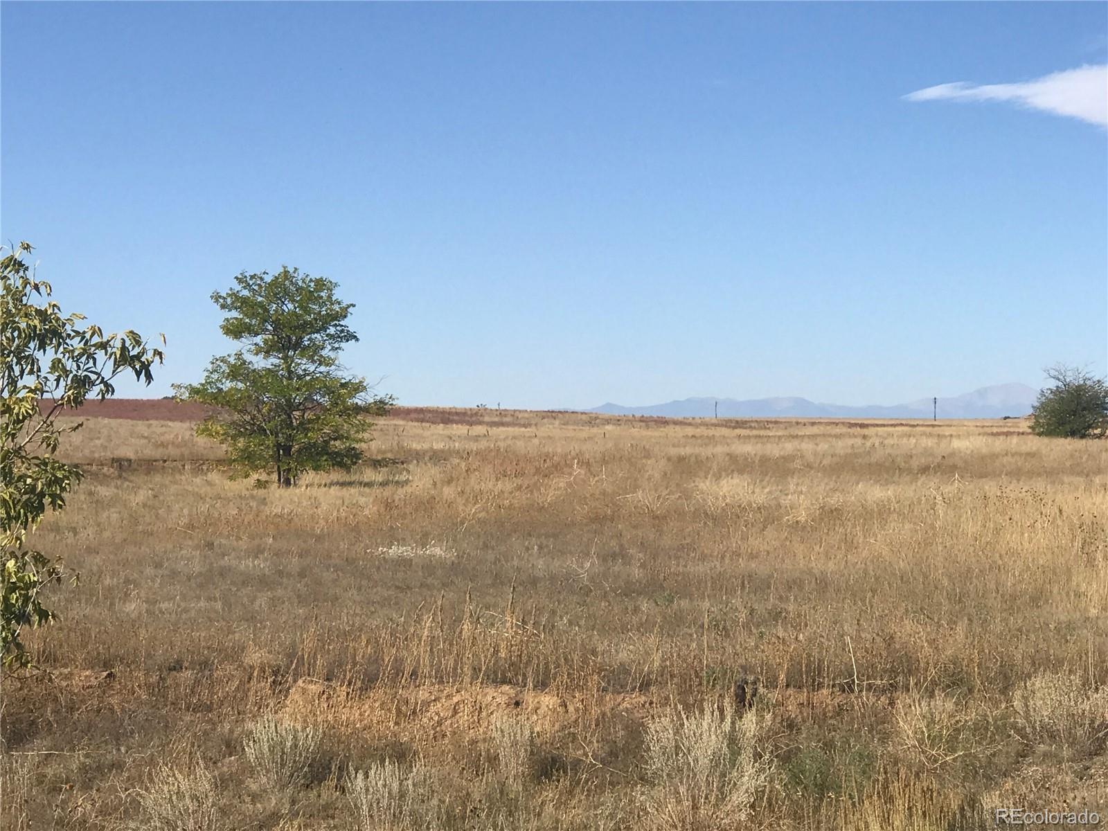 Rapp Road Rush, CO 80833 - Photo 5 of 40 Gallery Image 5