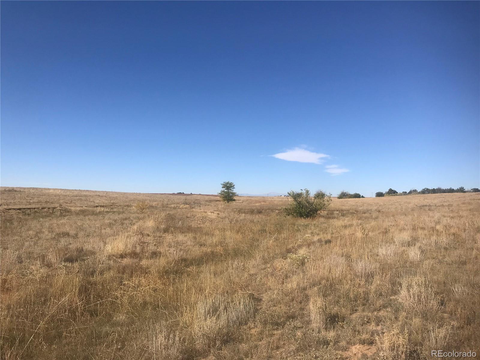 Rapp Road Rush, CO 80833 - Photo 10 of 40 Gallery Image 10