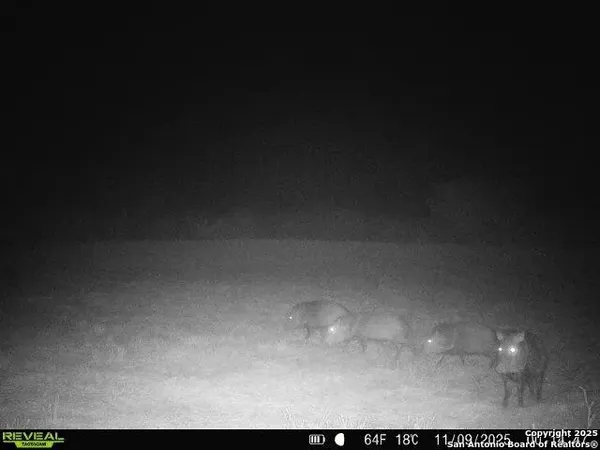 $159,900 | 0 County Road 203, Alice, TX 78332