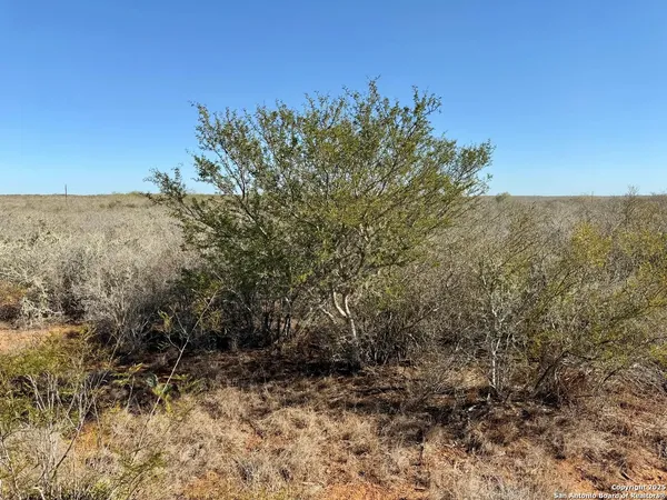 $159,900 | 0 County Road 203, Alice, TX 78332