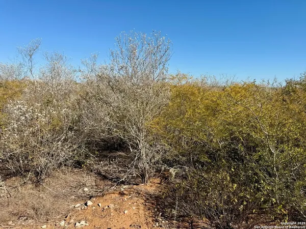 $159,900 | 0 County Road 203, Alice, TX 78332