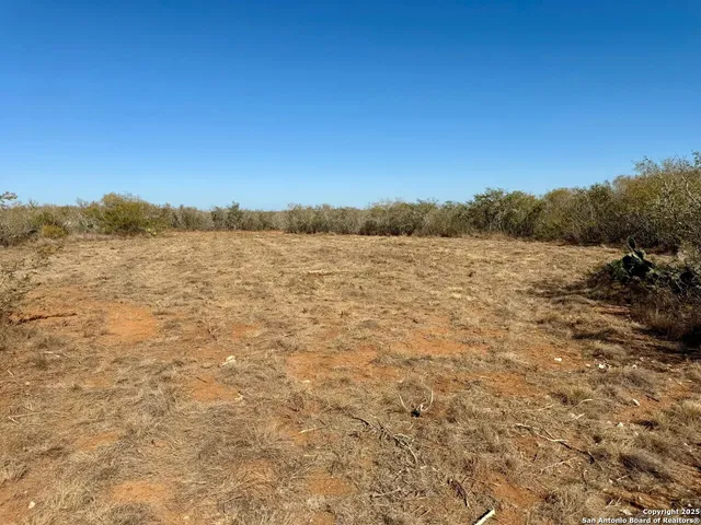 a view of a bunch of trees and bushes