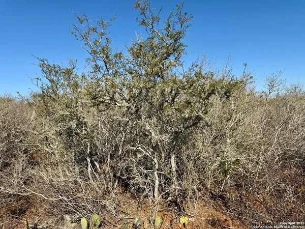 $159,900 | 0 County Road 203, Alice, TX 78332