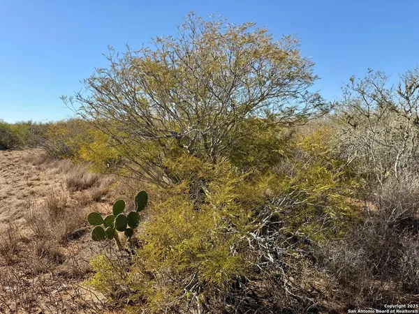 $159,900 | 0 County Road 203, Alice, TX 78332