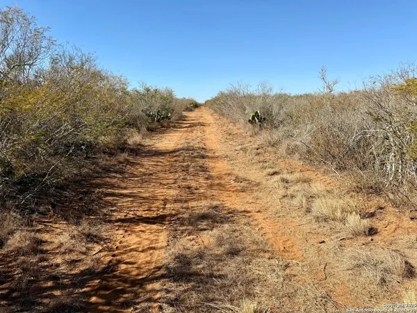 $159,900 | 0 County Road 203, Alice, TX 78332