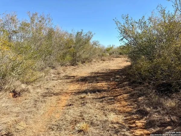 $159,900 | 0 County Road 203, Alice, TX 78332