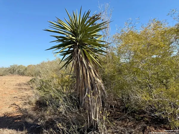 $159,900 | 0 County Road 203, Alice, TX 78332