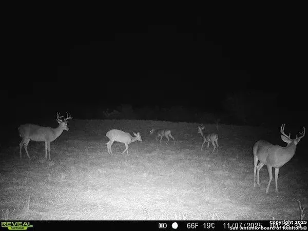 $159,900 | 0 County Road 203, Alice, TX 78332