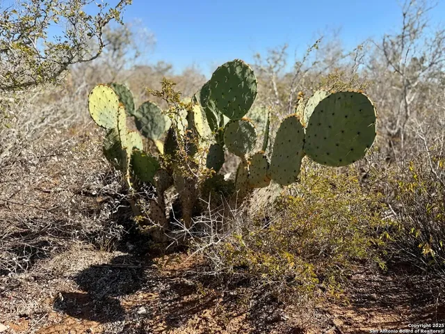 $159,900 | 0 County Road 203, Alice, TX 78332