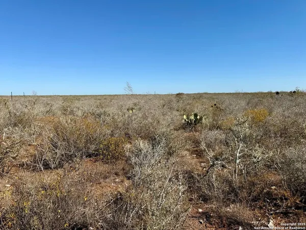 $159,900 | 0 County Road 203, Alice, TX 78332