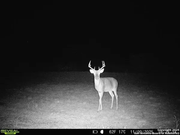 $159,900 | 0 County Road 203, Alice, TX 78332