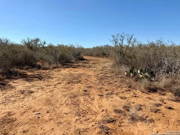 $159,900 | 0 County Road 203, Alice, TX 78332