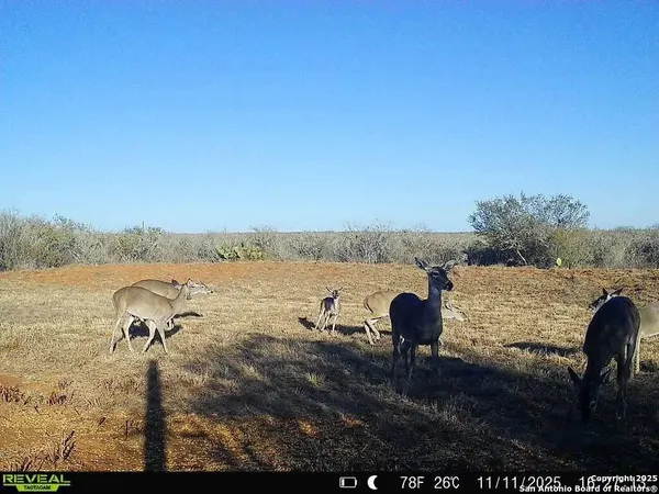 $159,900 | 0 County Road 203, Alice, TX 78332