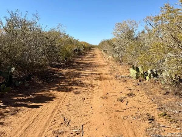 $159,900 | 0 County Road 203, Alice, TX 78332