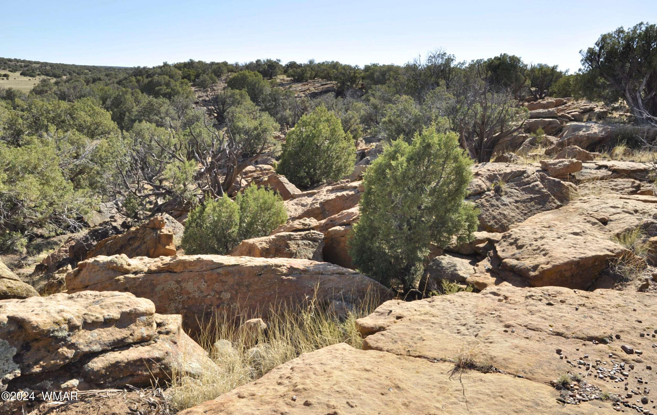 20 N8564 Concho, AZ 85924 - Photo 27 of 28