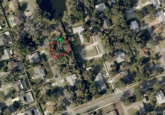 0 Mango Tree Drive Edgewater, FL 32141 - Photo 4 of 4 a view of a tree in a forest