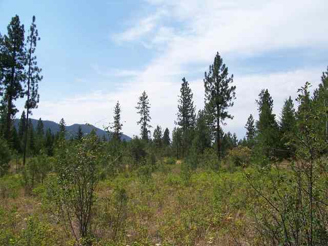 5776-xx Conner Road Fruitland, WA 99129 - Photo 1 of 8 Gallery Image 1