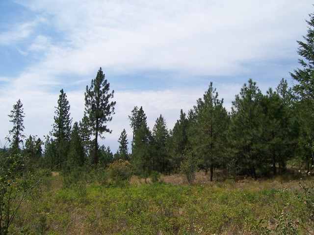 5776-xx Conner Road Fruitland, WA 99129 - Photo 3 of 8 Gallery Image 3