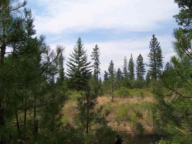 5776-xx Conner Road Fruitland, WA 99129 - Photo 4 of 8 Gallery Image 4