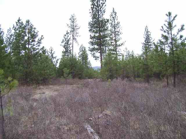 5776-xx Conner Road Fruitland, WA 99129 - Photo 5 of 8 Gallery Image 5