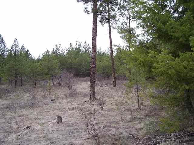 5776-xx Conner Road Fruitland, WA 99129 - Photo 7 of 8 Gallery Image 7