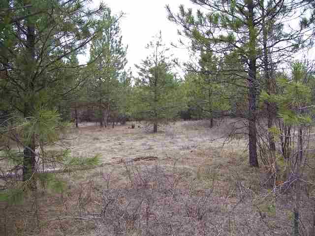 5776-xx Conner Road Fruitland, WA 99129 - Photo 8 of 8 Gallery Image 8