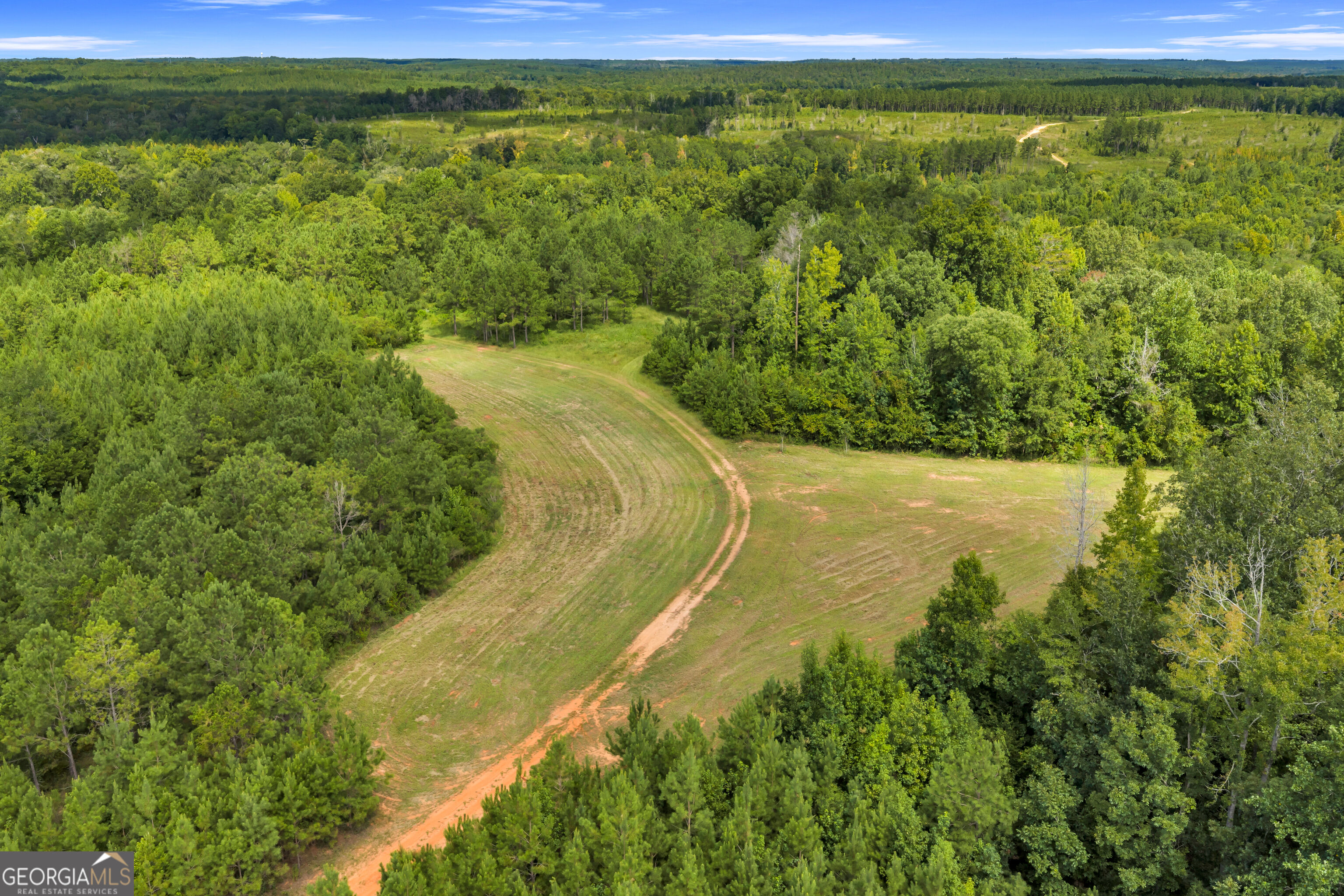 100 Bussey Place Road Morris, GA 39867 - Photo 122 of 174 Gallery Image 122