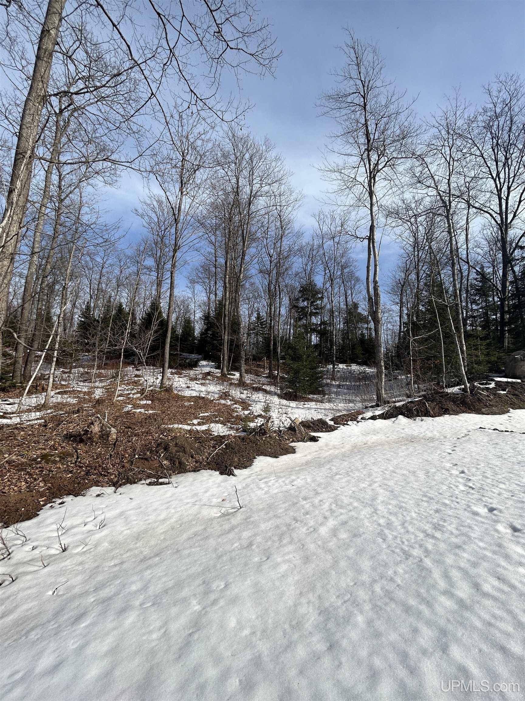 1 B Bridgeview Lane Negaunee, MI 49866 - Photo 14 of 18