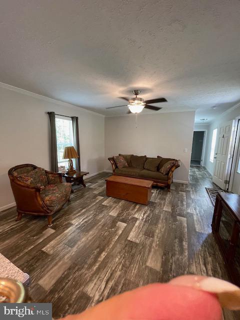 535 Parrish Lane Colonial Beach, VA 22443 - Photo 3 of 18 a living room with a couch and chandelier
