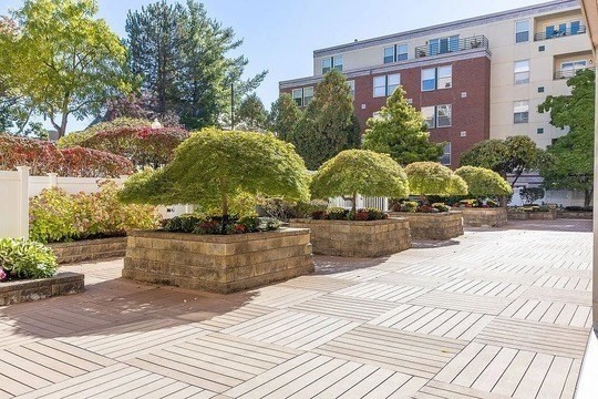 20 Webster Street, Unit 503 Brookline, MA 02446 - Photo 2 of 10