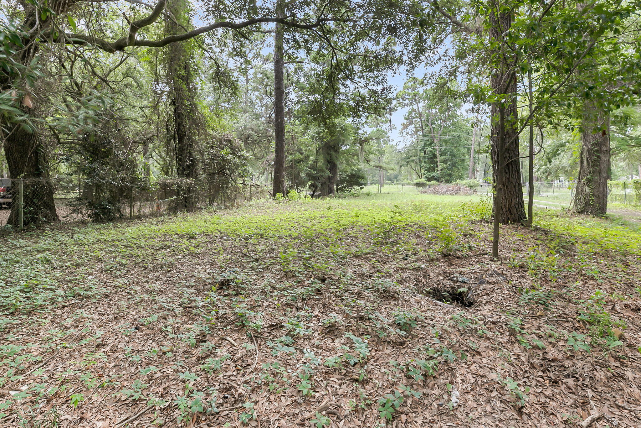 3765 State Rd S-10-1333 Johns Island, SC 29455 - Photo 21 of 21 CREM - 3765 State Rd S-10-1333-21