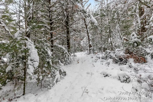 $45,000 | 6007 South Cypress Avenue, Newaygo, MI 49337