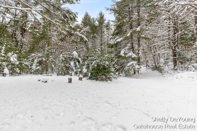 $45,000 | 6007 South Cypress Avenue, Newaygo, MI 49337