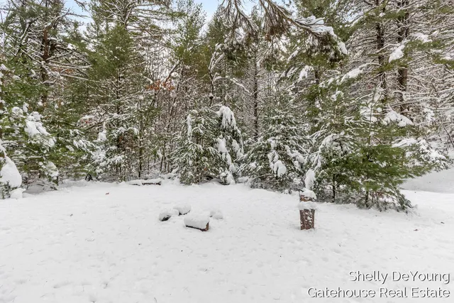 $45,000 | 6007 South Cypress Avenue, Newaygo, MI 49337