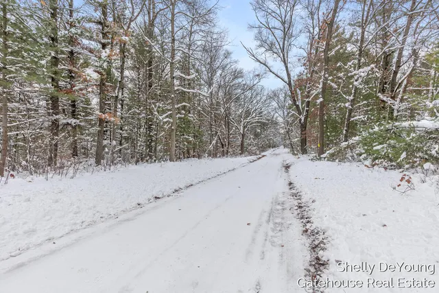 $45,000 | 6007 South Cypress Avenue, Newaygo, MI 49337