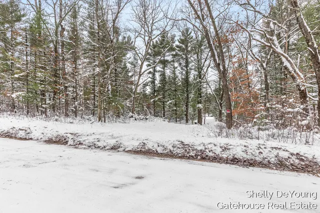 $45,000 | 6007 South Cypress Avenue, Newaygo, MI 49337